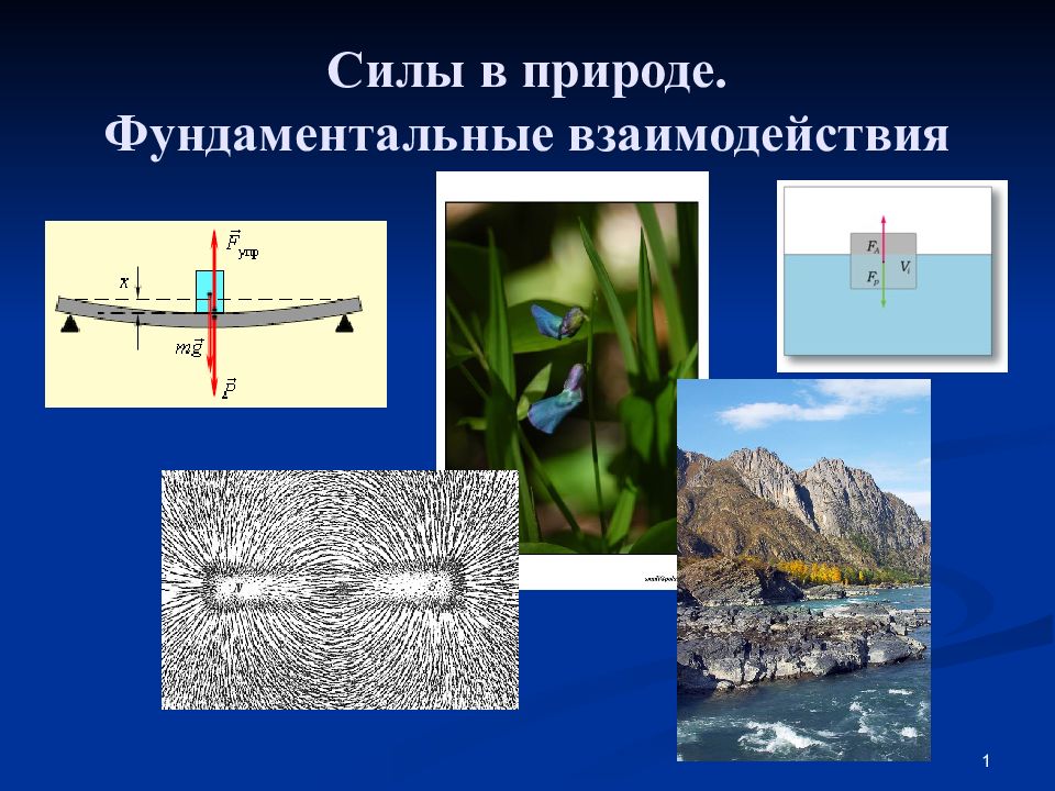 В чем заключается сила природы. Силы природы. Фундаментальные взаимодействия в природе. Силы в природе физика. Примеры сил в природе.