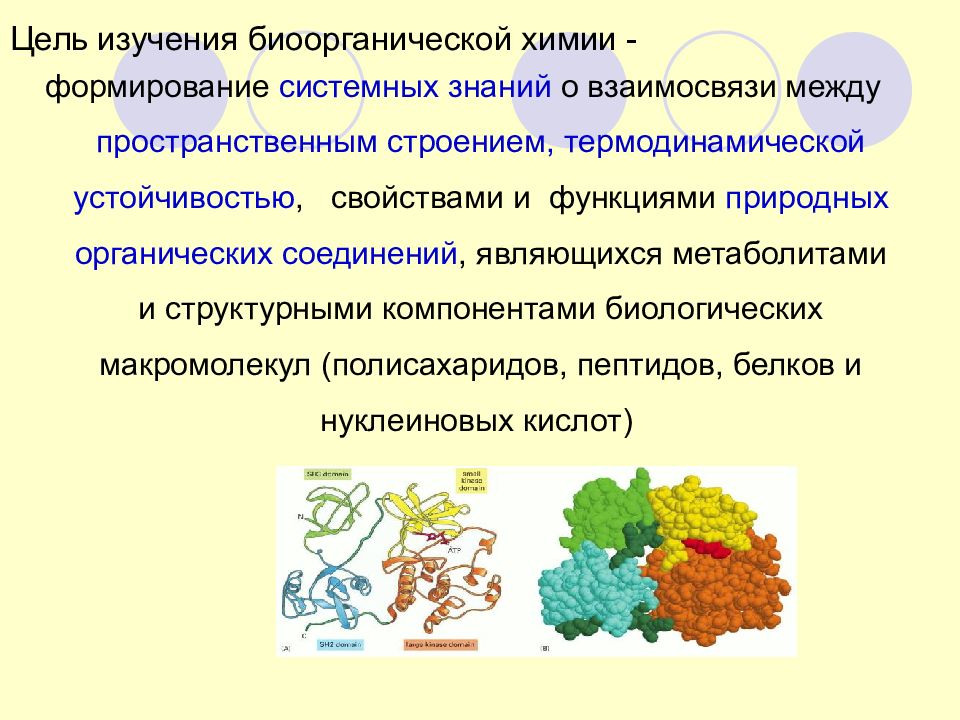 Кафедра биоорганической химии. Биоорганическая химия что изучает. Биоорганические соединения. Функции биоорганических соединений. Органический и органичный разница.