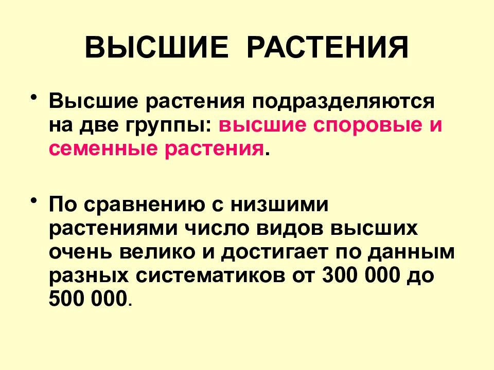 ВЫСШИЕ РАСТЕНИЯ
