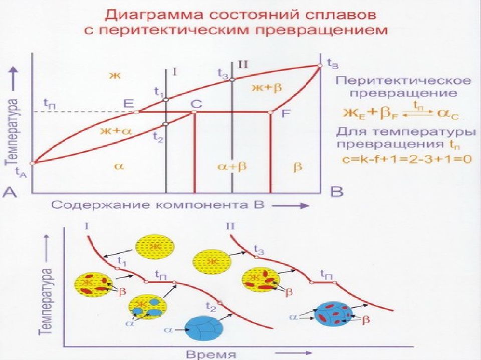 Диаграмма превращения. Диаграмма с перитектическим превращением. Диаграмма состояния сплавов с перитектическим превращением. Диаграмма состояния сплава с периртиктическим превращением. Перитектическое превращение на диаграмме.