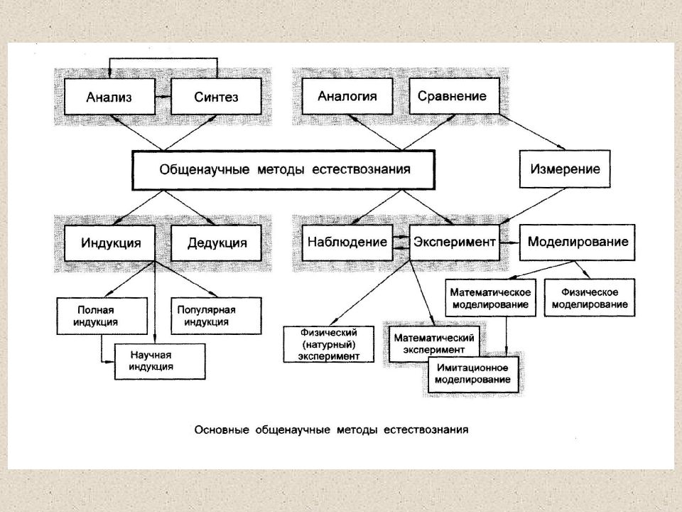 Оформите схему естествознание синтез наук