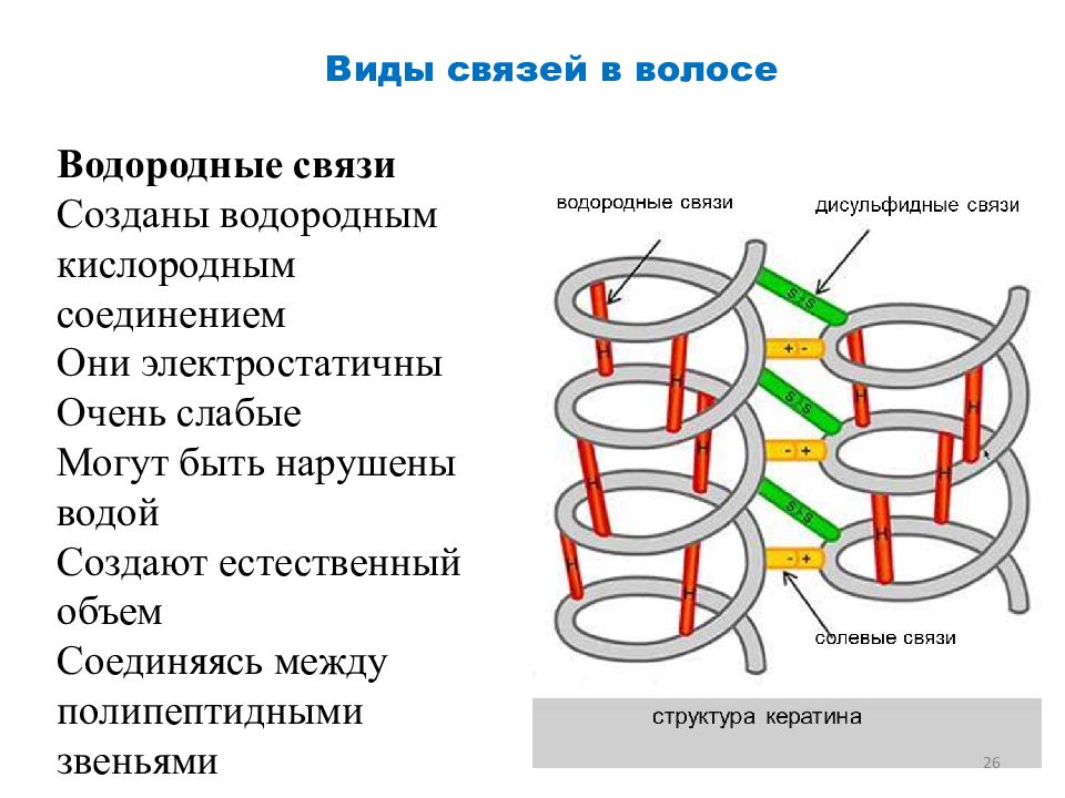 Дисульфидная связь в молекулах