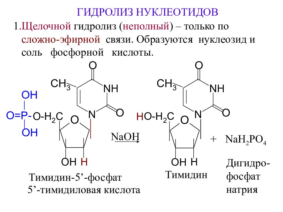 Гидролиз в солянокислой среде. Щелочной гидролиз уридиловой кислоты. Схема гидролитического расщепления 5 уридиловой кислоты. Тимидин 5 фосфат щелочной гидролиз. Уридин 5 фосфат гидролиз.