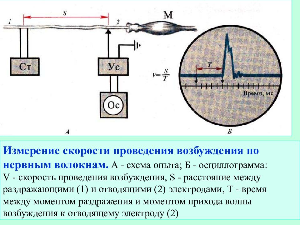 Схема опыта перрена