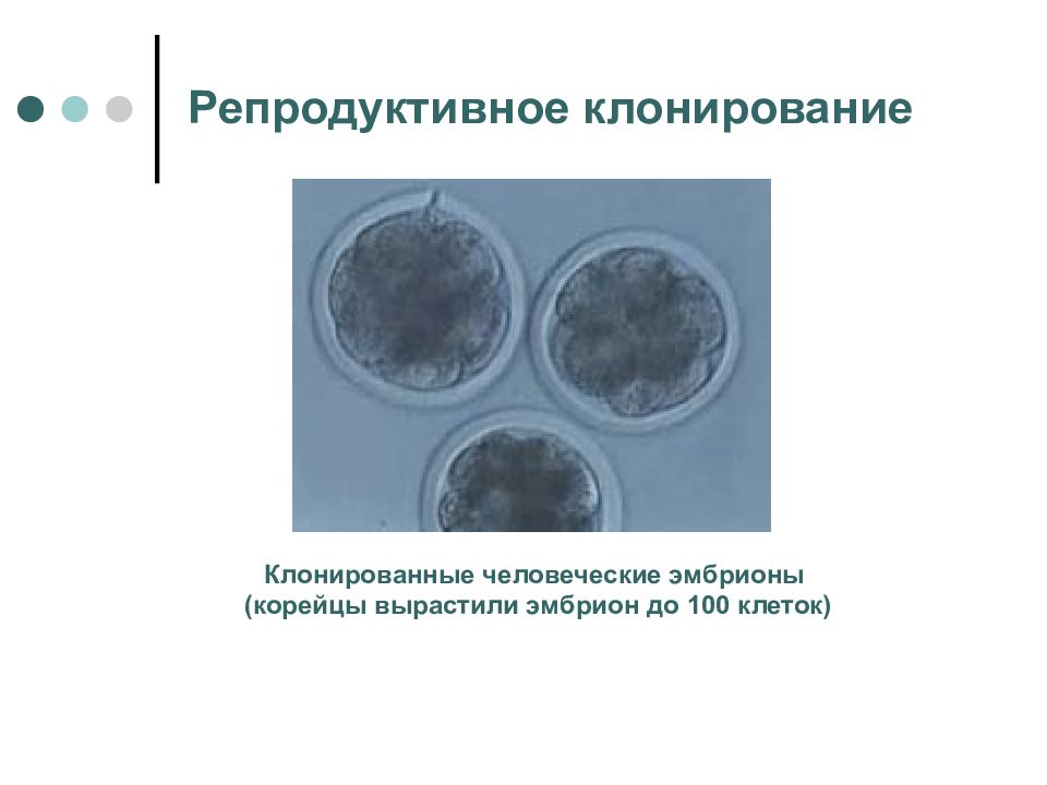 Клонирование терапевтическое схема