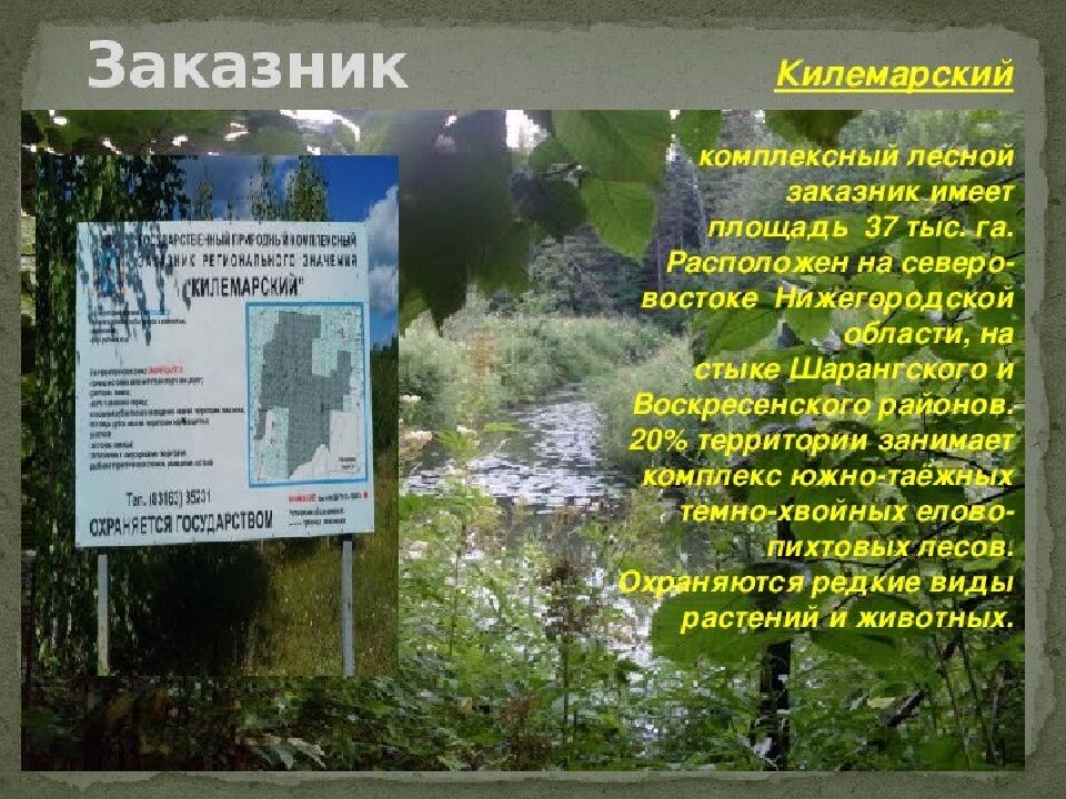 ОХРАНА РАСТИТЕЛЬНОГО МИРА