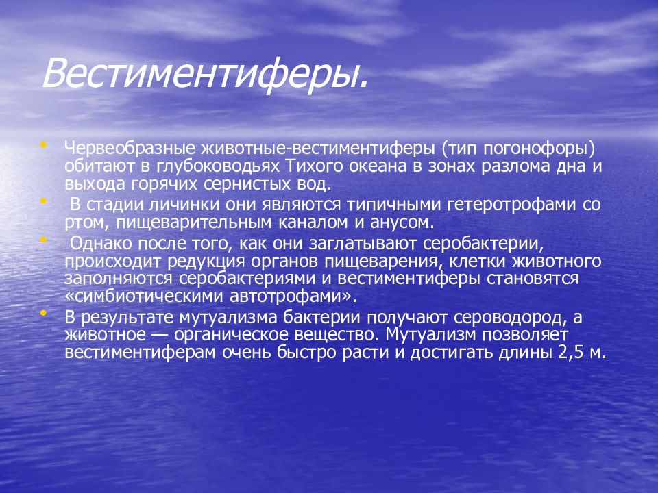 Типа фактор. Вестиментифер. Что обозначает вестиментифер. С какой целью личинки вестиментифер плавают.