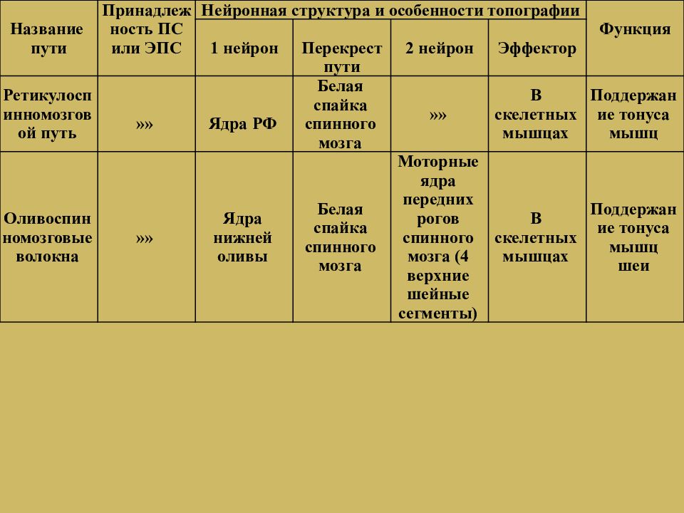 Презентация проводящие пути спинного и головного мозга