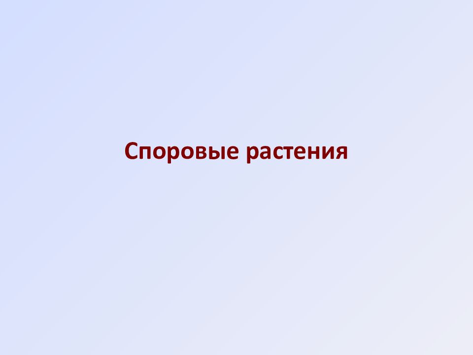 Споровые растения