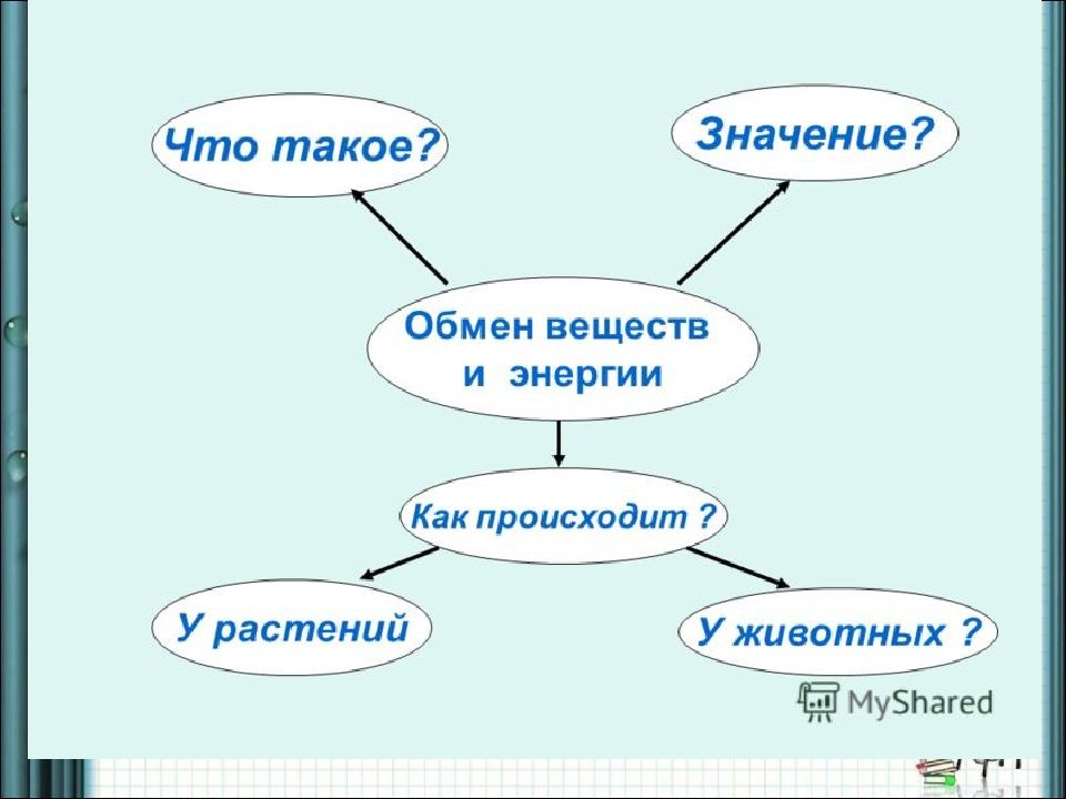 Превращение по схеме