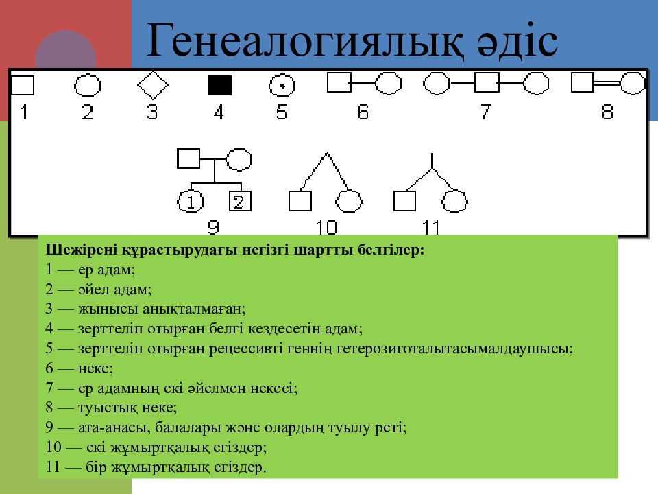 Презентация адам генетикасы