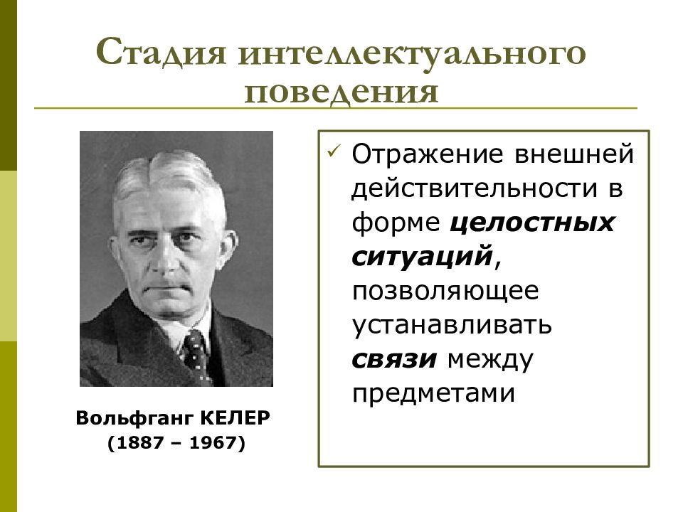 Интеллектуальное поведение. Стадия интеллектуального поведения. Вольфганг кёлер (1887-1967). Кратко. Интеллектуальное поведение человека.