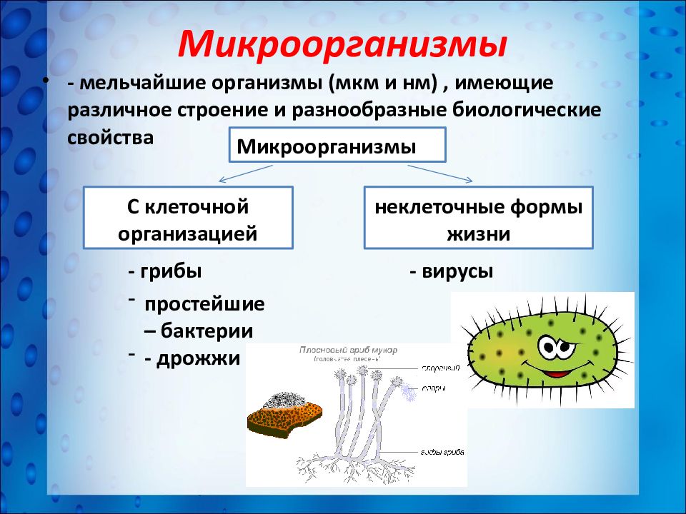 Неклеточные формы жизни вирусы бактерии