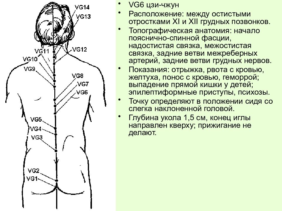 Как расположены меридианы. Точка vc3 Чжун-Цзи. Заднесрединный Меридиан точка vg2. Заднесрединный Меридиан расположение. Переднесрединный Меридиан расположение точек.