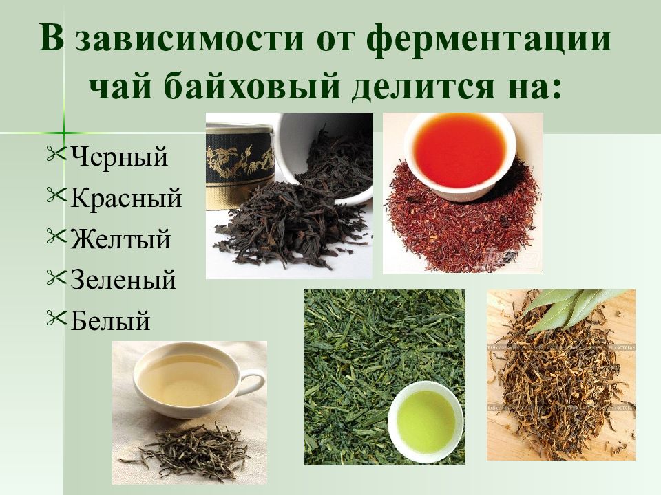 Что такое байховый чай. Ассортимент чайных напитков. Чай зеленый байховый. Желтый байховый чай. Характеристика байхового чая.