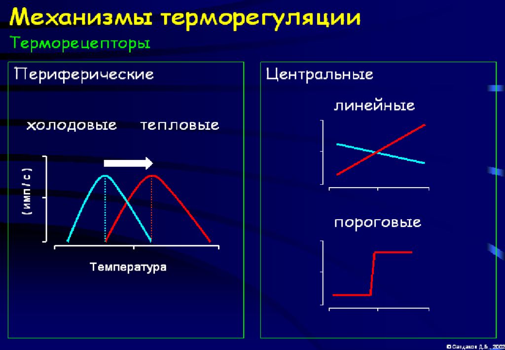 Терморецепторы. Терморецепторы строение. Терморецепторы физиология. Центральные и периферические терморецепторы.