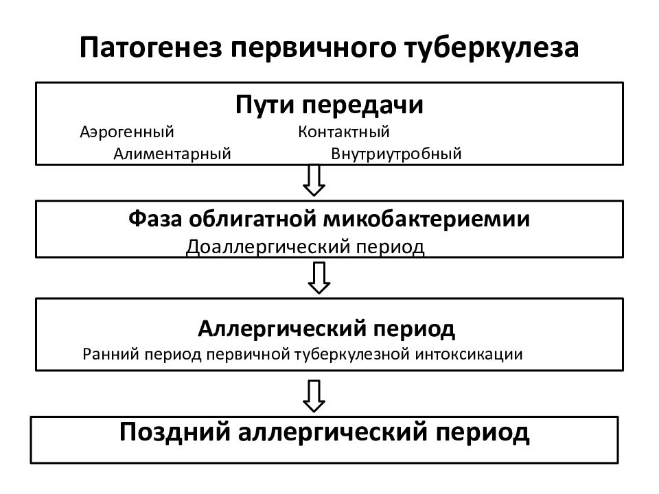 Патогенез туберкулеза