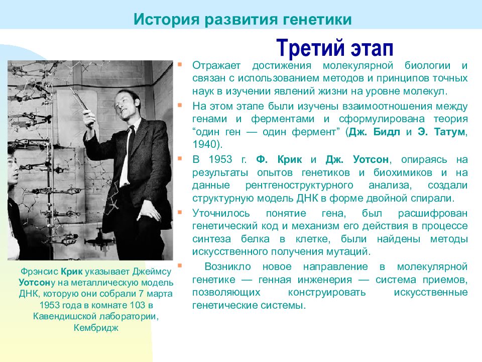 История становления генетики как науки презентация. История развития генетики. История развитиягинетики. Исторические этапы развития генетики. Третий этап развития генетики.