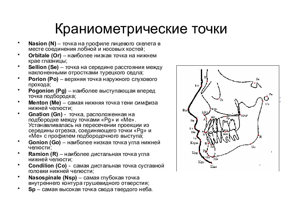 Hello точка. Краниометрические точки. Краниометрические точки на ТРГ. Расположение краниометрических точек. Краниометрические точки черепа базион.