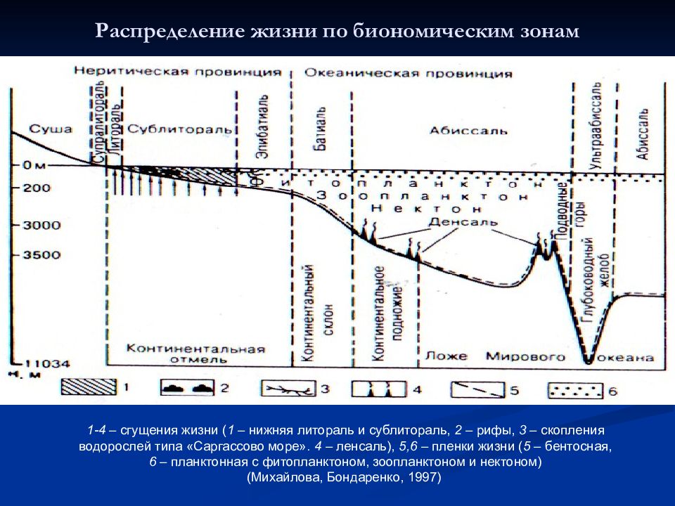 Распределение жизни