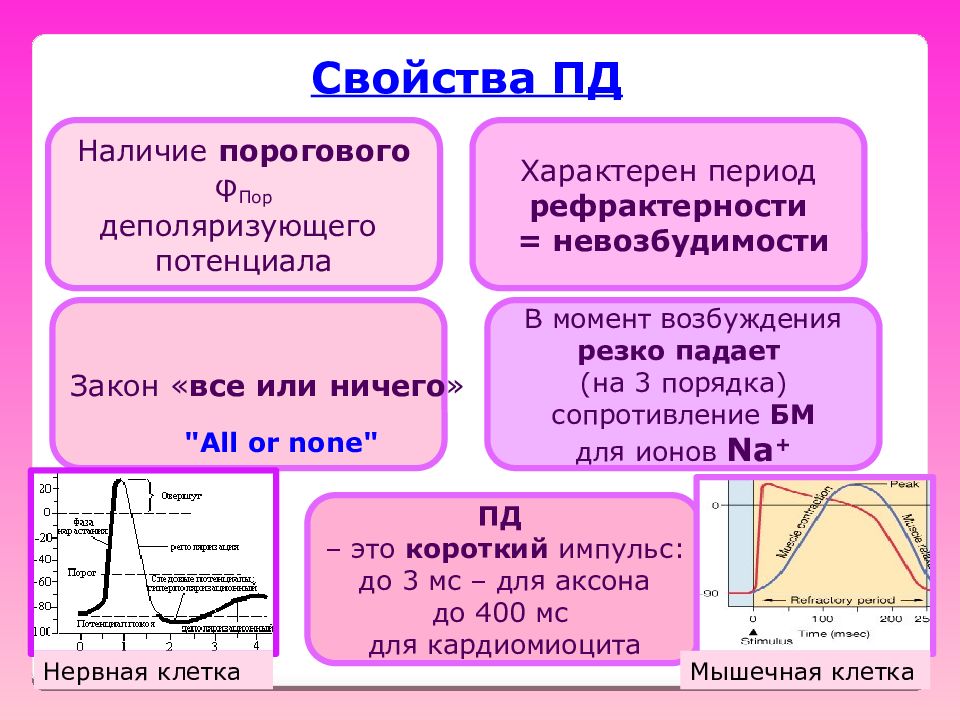 Момент возбуждения. Биоэлектрогенез биофизика. Биоэлектрогенез мембран. Пороговый потенциал. Потенциал действия все или ничего.