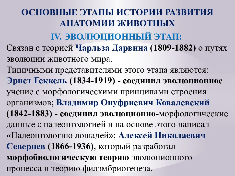 Этапы развития анатомии. История развития анатомии. История развития анатомии и физиологии кратко. Этапы развития анатомической науки.