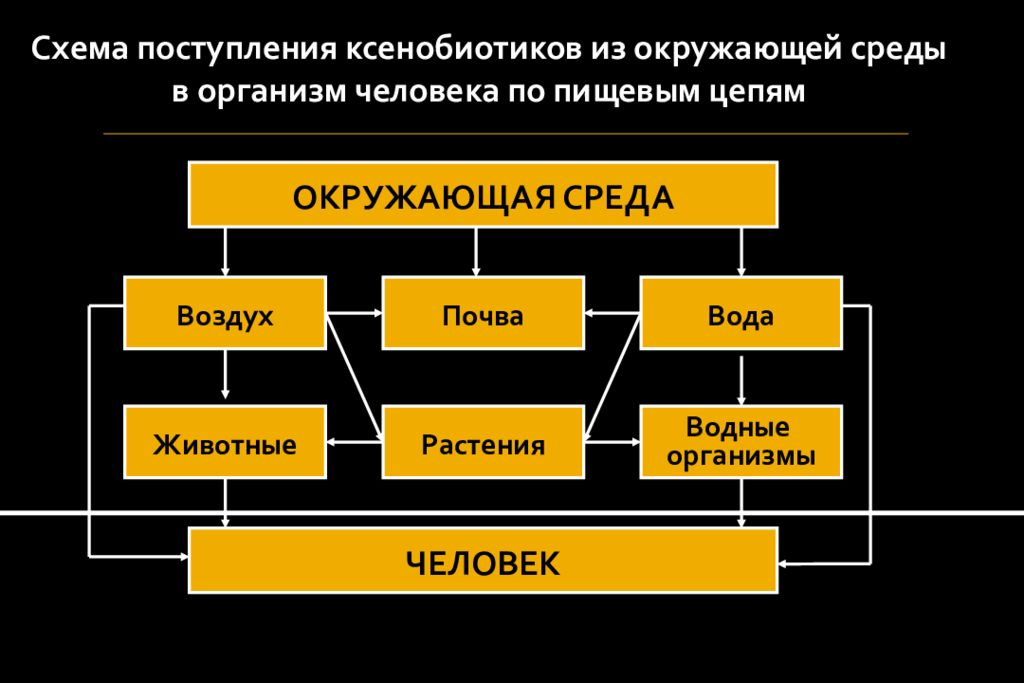 Пищевые загрязнения. Источники загрязнения пищевых продуктов. Пути загрязнения пищевых продуктов. Основные пути загрязнения продуктов питания. Источники загрязнения сырья и пищевых продуктов.