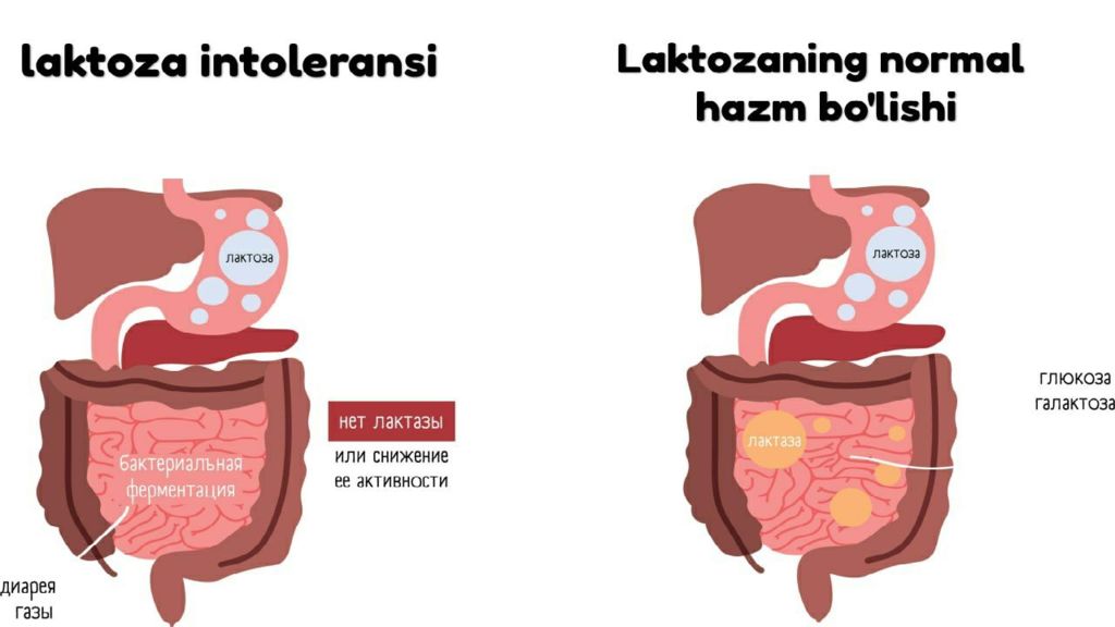 Disaxaridlarning siklotautoizomeriyasi Disaxaridlarning siklotautoizomeriyasi