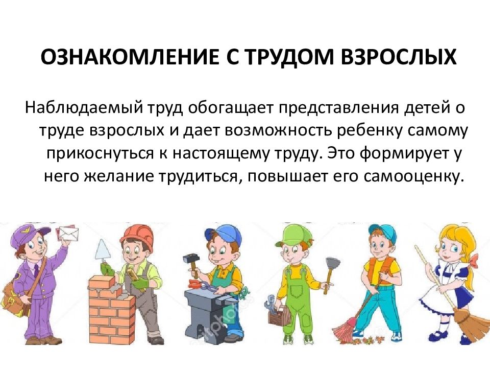 Трудовая деятельность проект