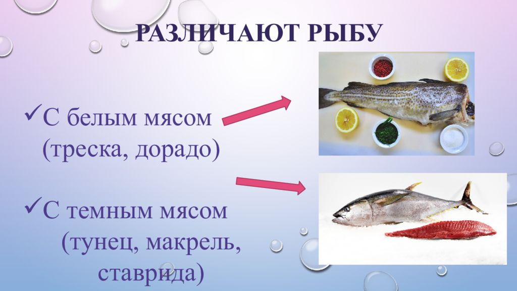 Как отличить рыбу. Классификация рыбы по размеру. Классификация рыбы по содержанию жира. Рыбу различают на. Рыба для презентации.