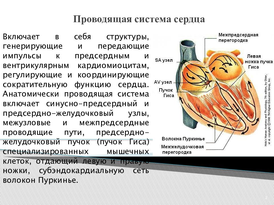 Нарушения проводимости презентация