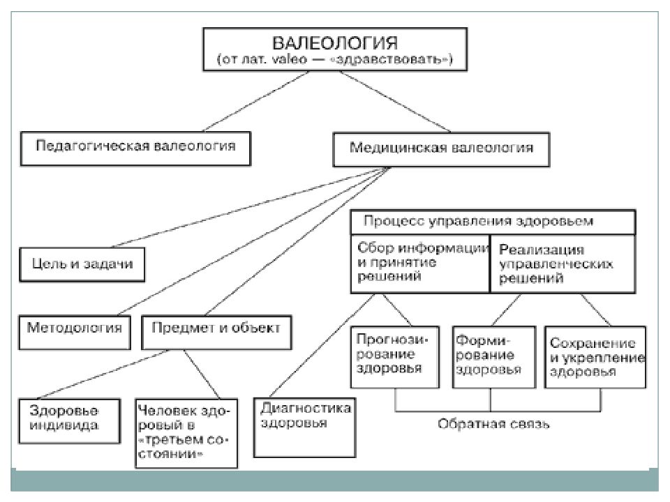 Валеология это. Валеология. Методы валеологии. Медицинская валеология это. Валеология классификации.