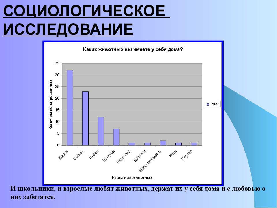 Влияние домашних животных на человека презентация