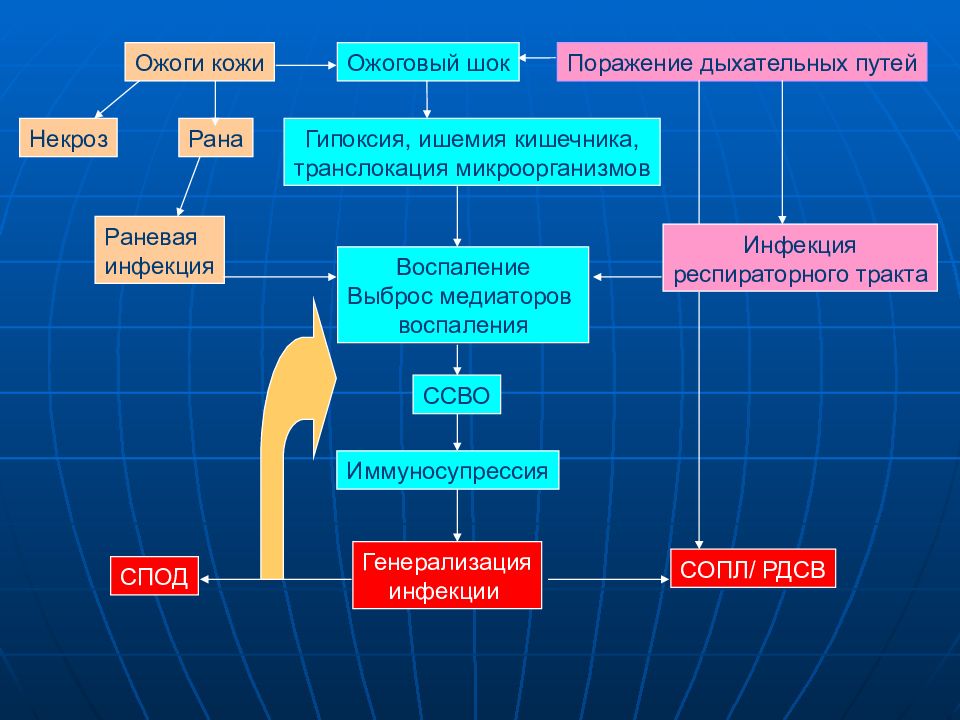 Ожоговый шок патогенез схема