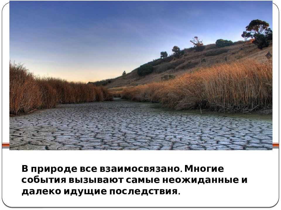 Презентация охрана живого мира планеты