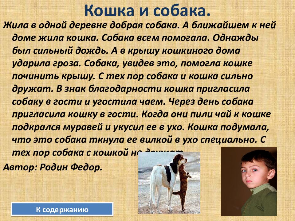 Кошка и собака.