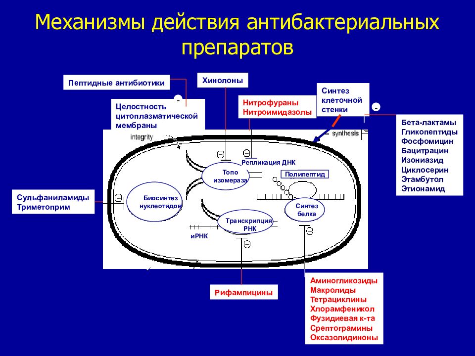 Механизм действия препарата. Механизмы действия антибактериальных средств. Механизм действия препаратов. Механизм противомикробного действия. Основные механизмы действия противомикробных средств.