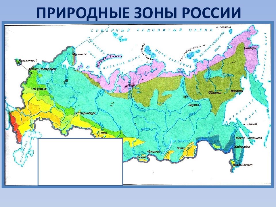 Карта природных зон россии