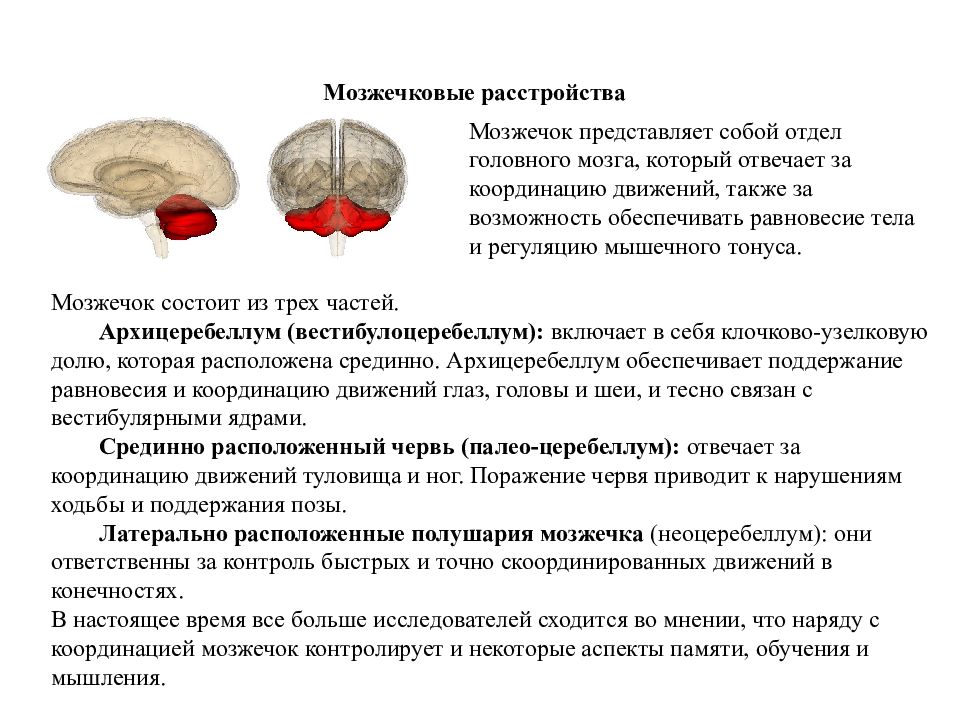 Отдел головного мозга обеспечивающий координацию движений. Функция и роль мозжечка. Отделы головного мозга отвечающие за движения мозжечок. Функции отделов головного мозга мозжечок. Отдел мозга мозжечок отвечающий за координацию движений.