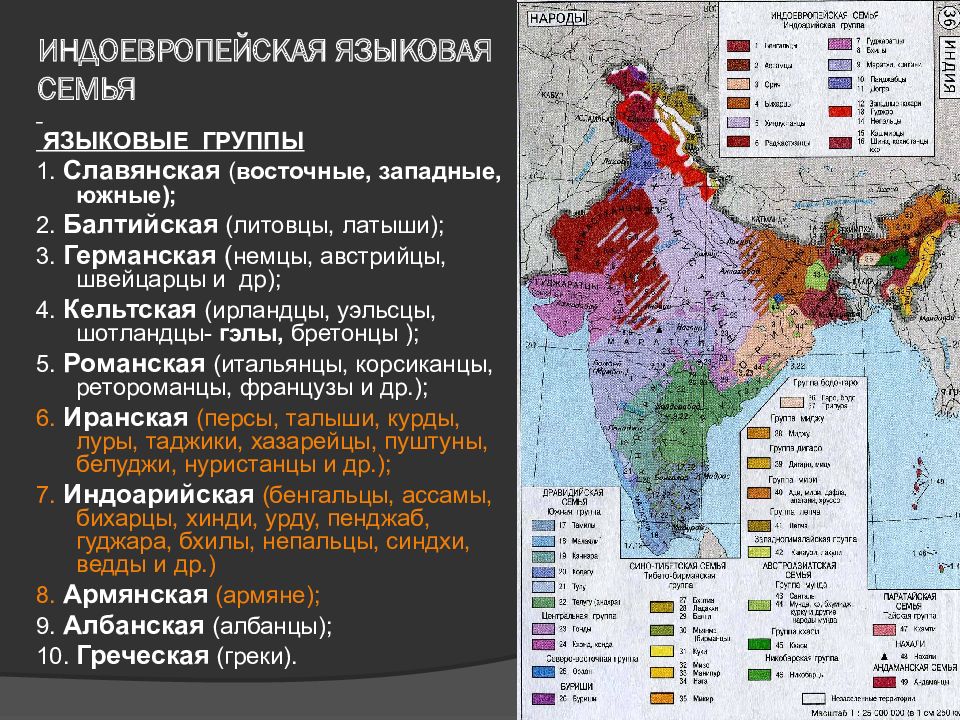 Индоевропейская семья языков славянская группа