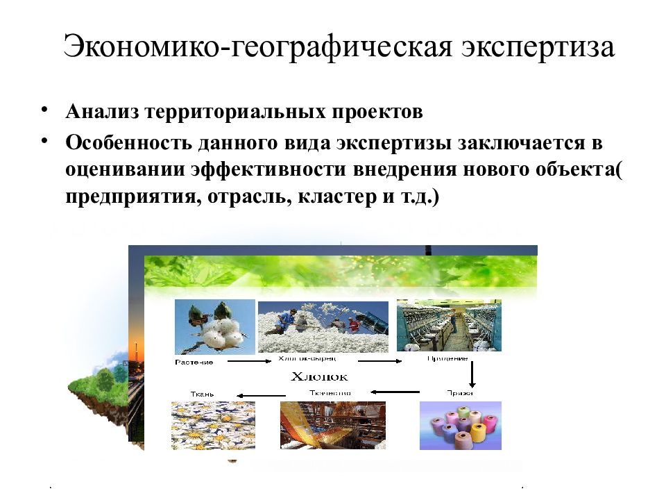 Эколого географический анализ школьный проект