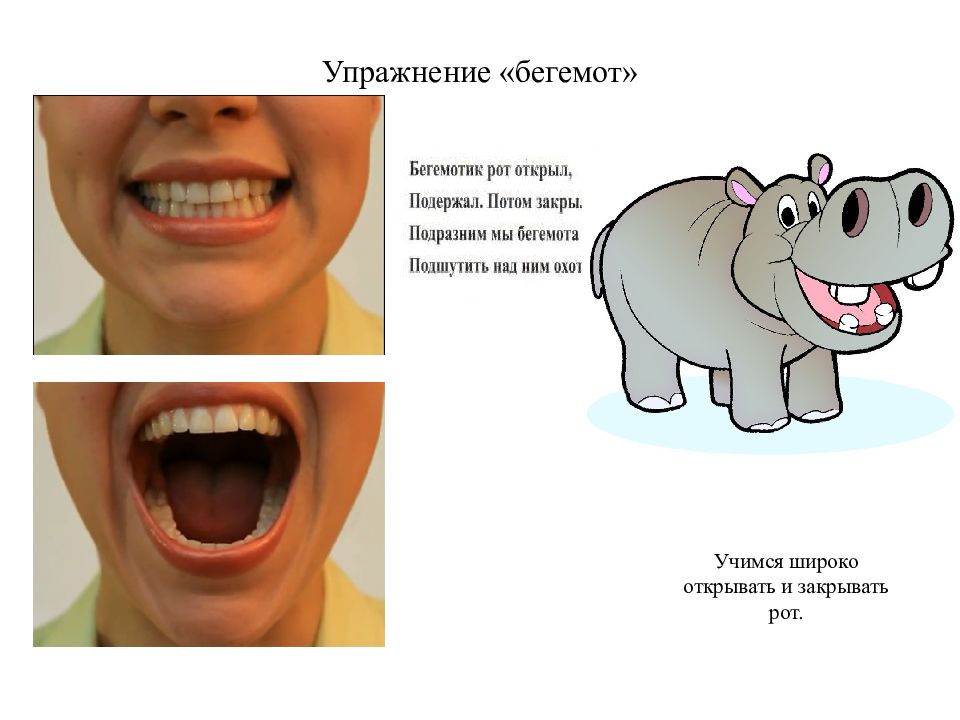 Артикуляционная гимнастика бегемотик в картинках