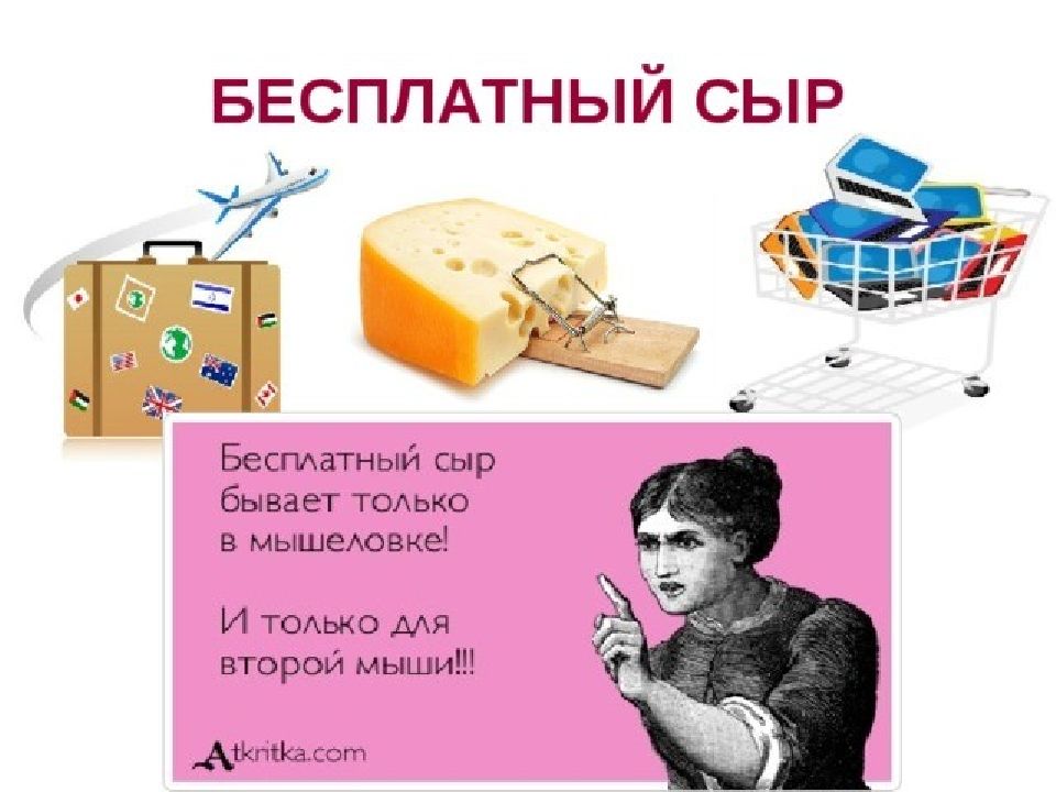 Бесплатный сыр только в мышеловке картинки