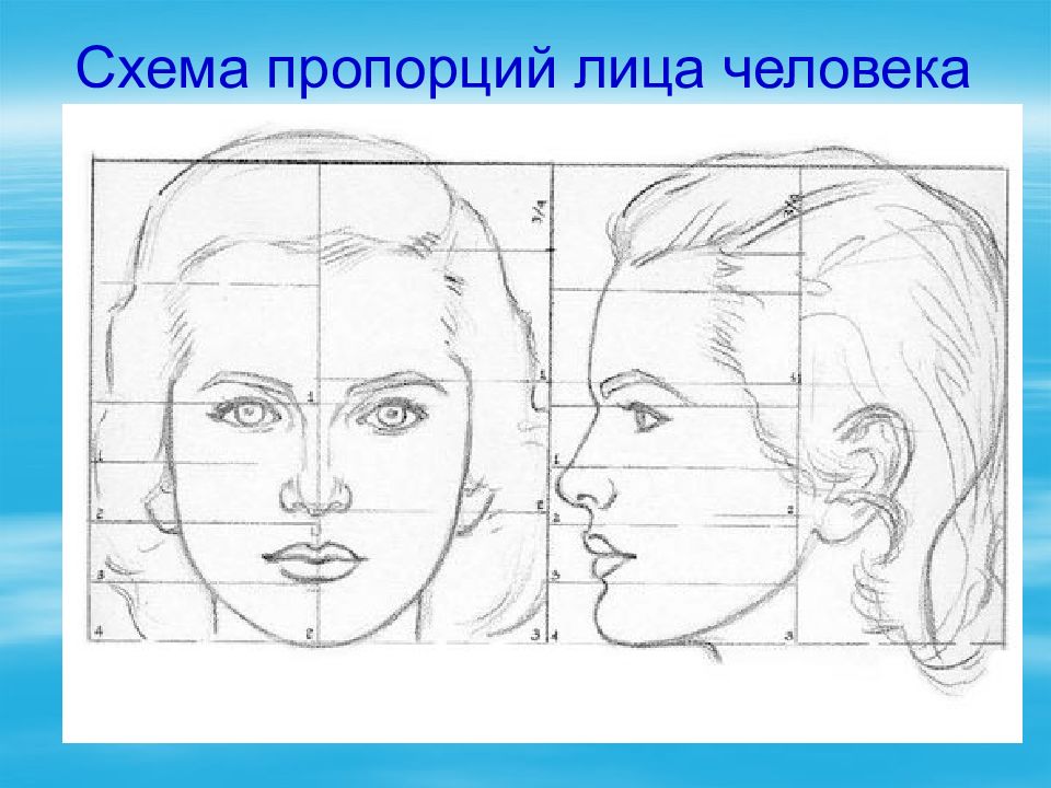 Презентация рисование портрета для детей презентация