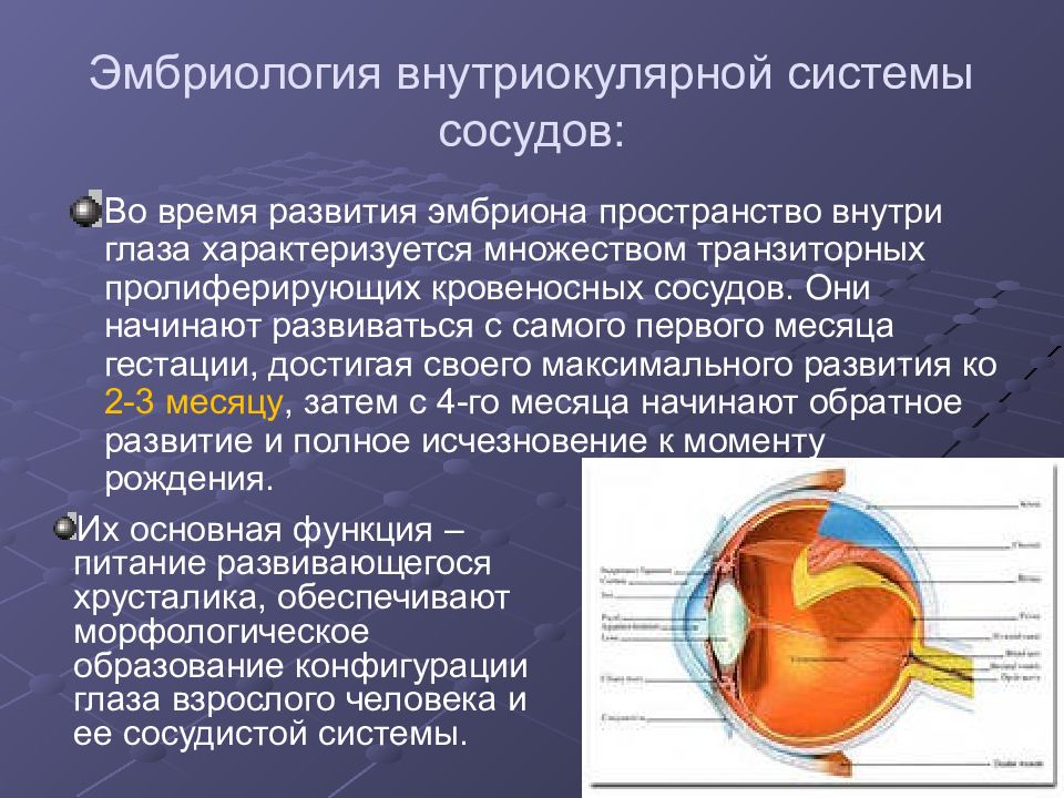 Ретинопатия недоношенных презентация