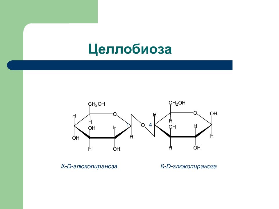 Целлобиоза формула. Структурная формула Целлобиозы. Образование Альфа целлобиоза. Целлюлоза и целлобиоза. Циклическая формула Целлобиозы.