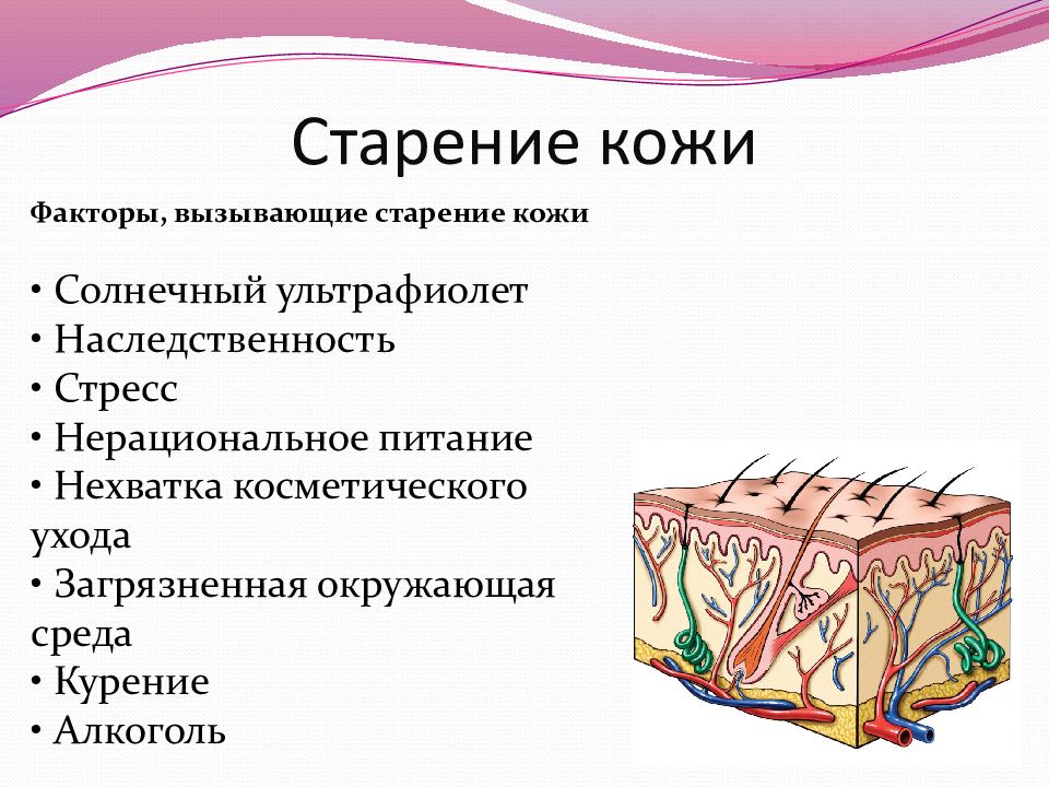 Старение кожи презентация