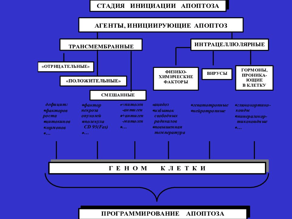 Повреждение клетки патофизиология презентация