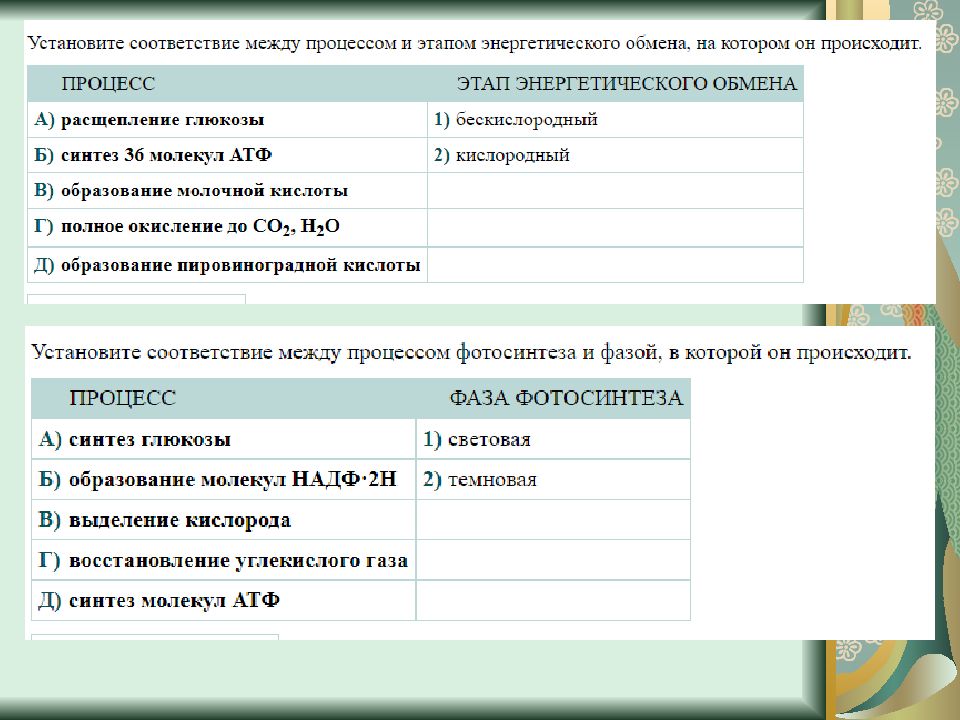 Тест по теме обмен веществ витамины. Тесты по энергетическому обмену 10 класс по биологии из сборника.