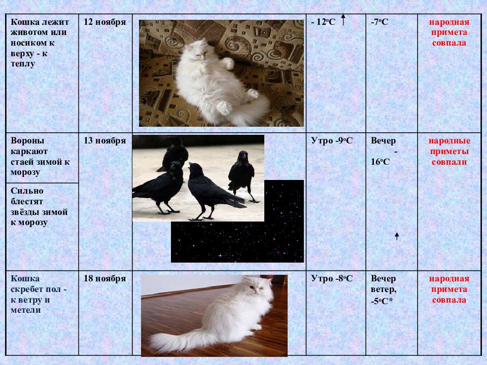 Презентация на тему народные приметы и погода не более 5 слайдов